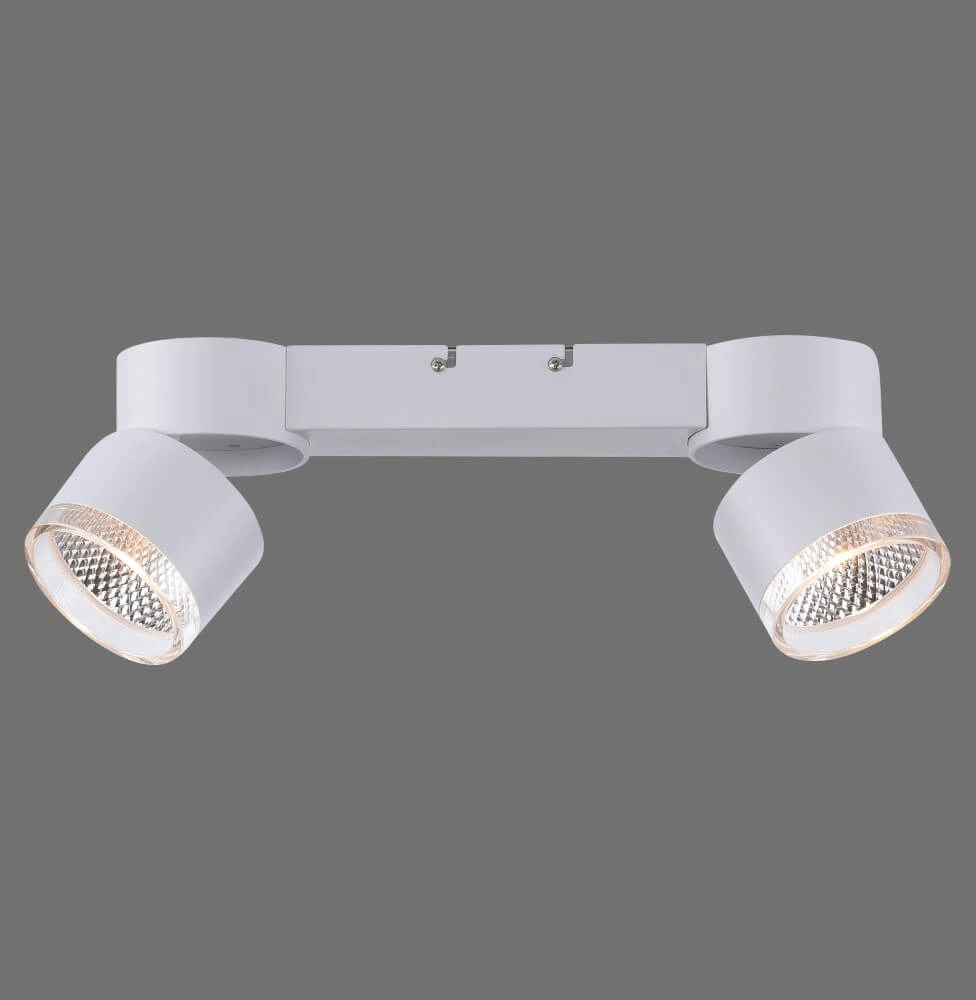 White ceiling lamp Pure Nola 2-light Paul Neuhaus 4012248374542