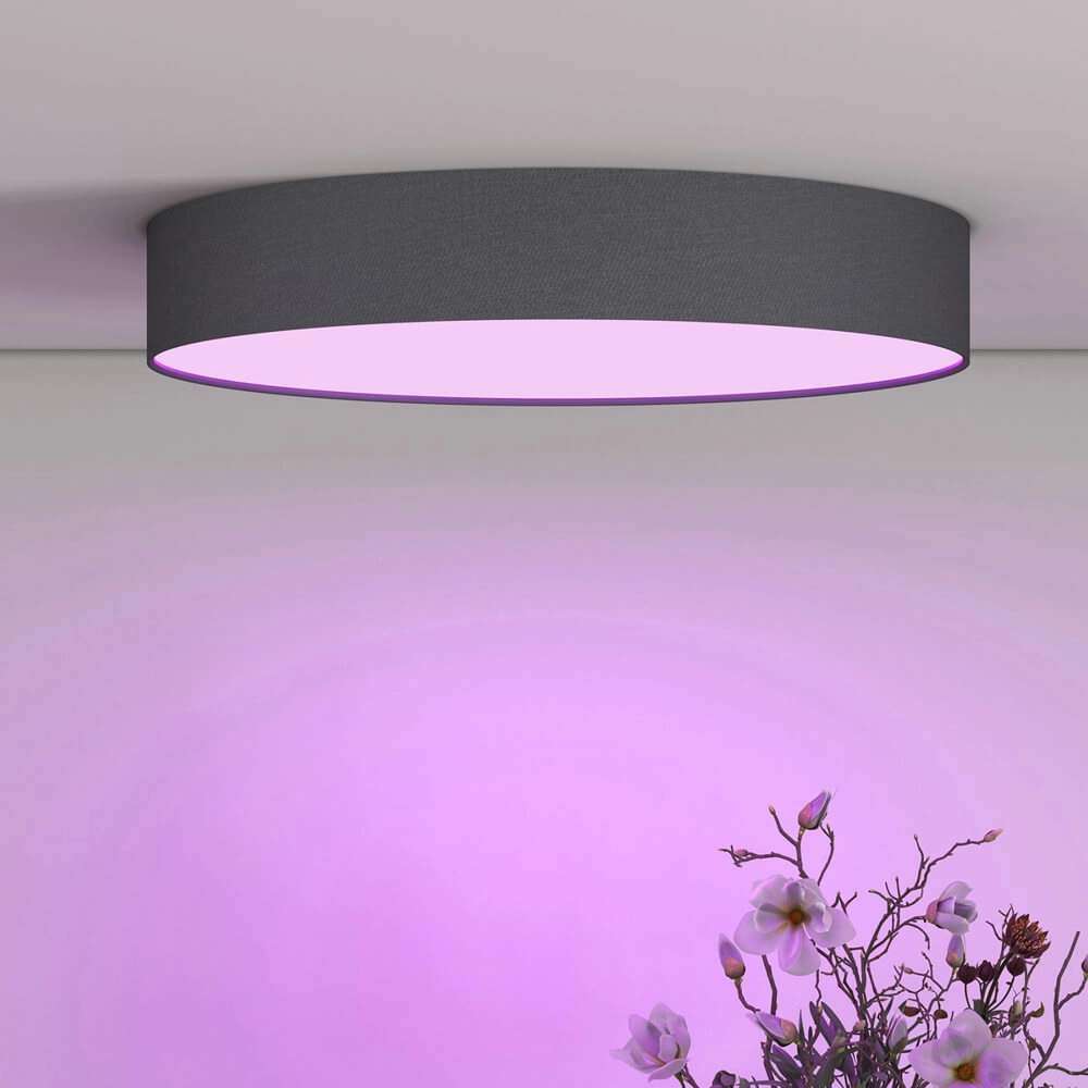 Smart ceiling light Smart Ceily Ø 30cm Circle 8712879151081
