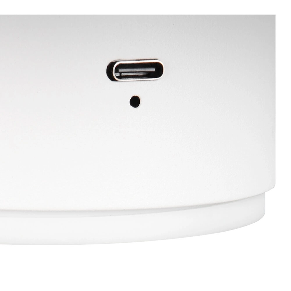 White wall lamp Davey Ø 15cm Trio 4017807643800