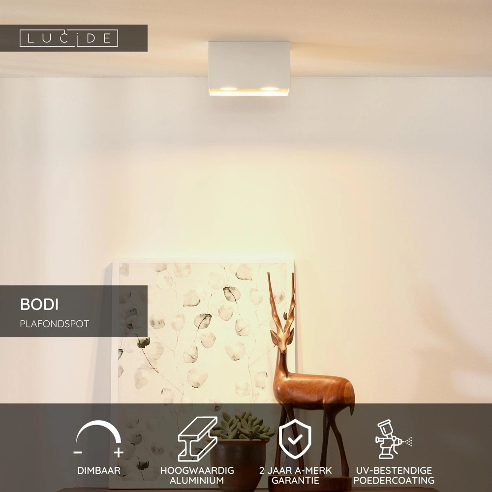 Ceiling spotlight Bodi 2-light white Lucide 5411212091598