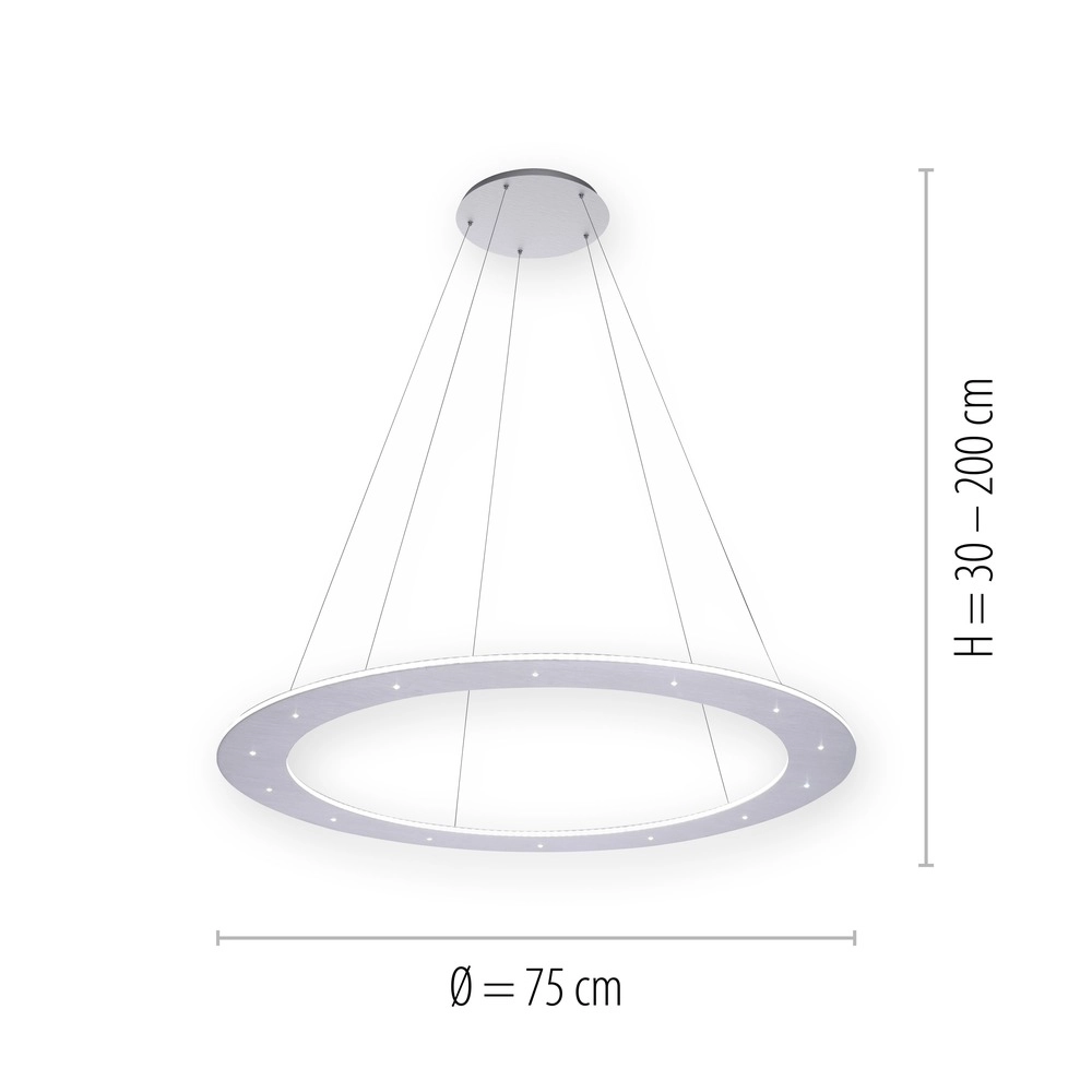 Led pendant light Pure Cosmo brushed metal - Ø 75cm Paul Neuhaus 4012248350751