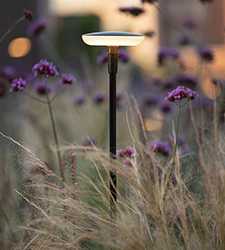 In-lite fixtures