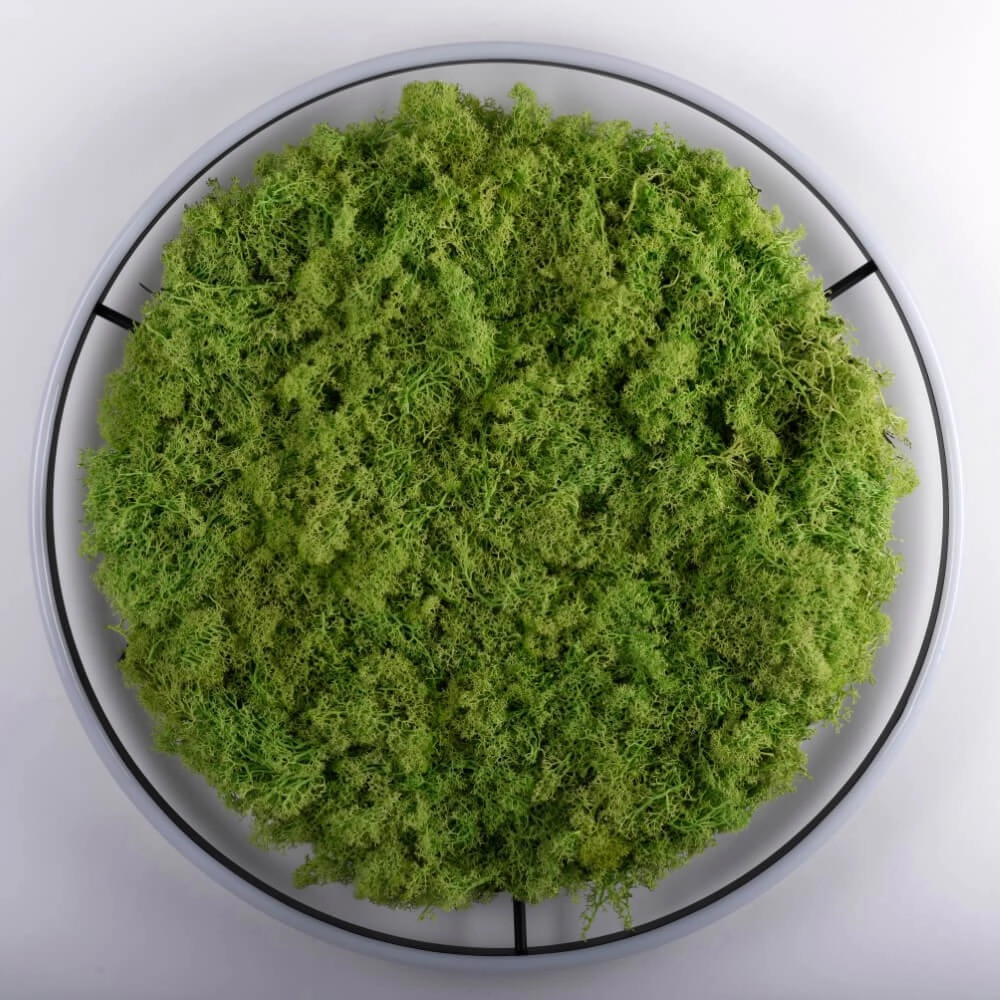 Ceiling lamp Green Ritus with moss Ø 58,5cm Just Light 4043689994808