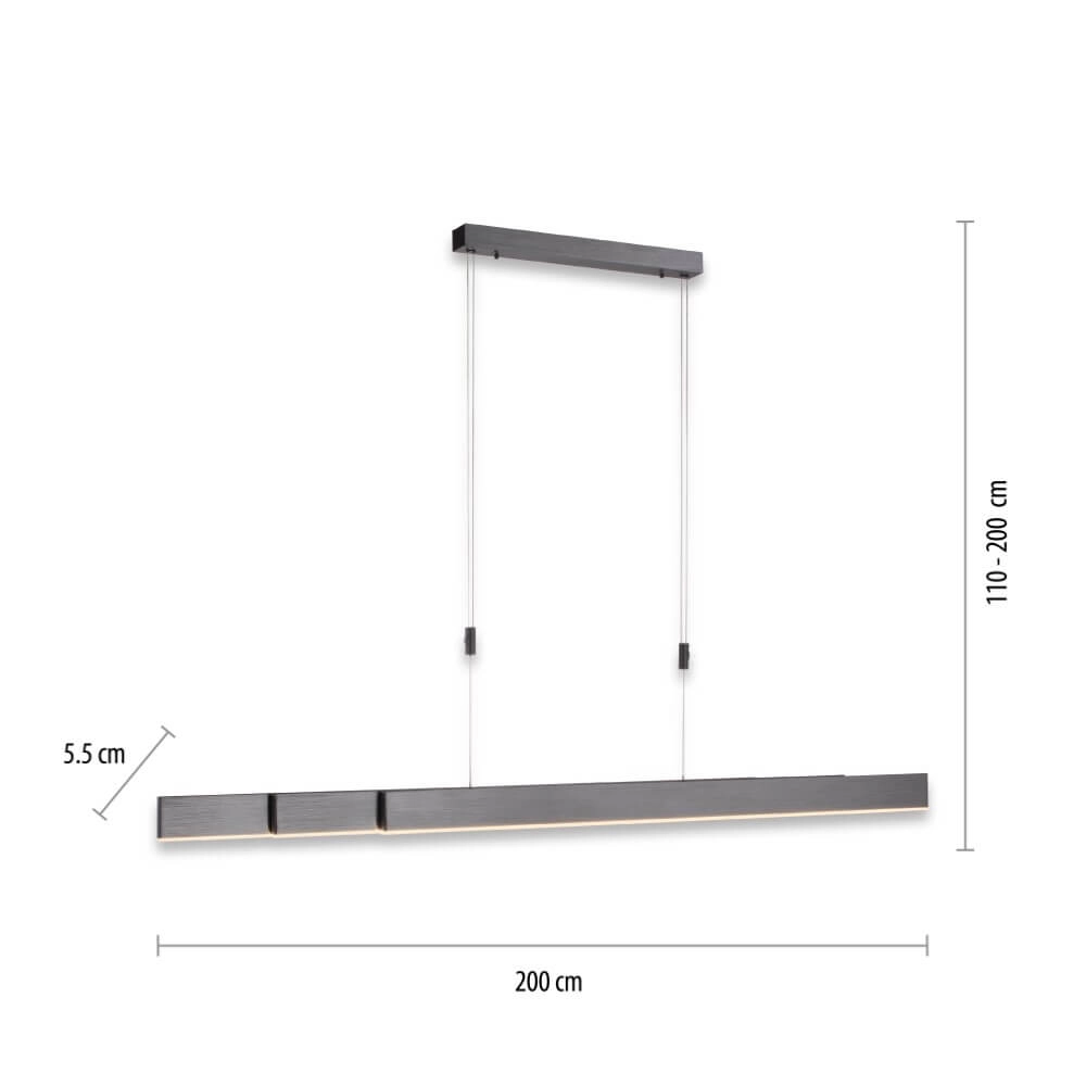LED hanging lamp Pure-Moto brushed anthracite Paul Neuhaus 4012248363751