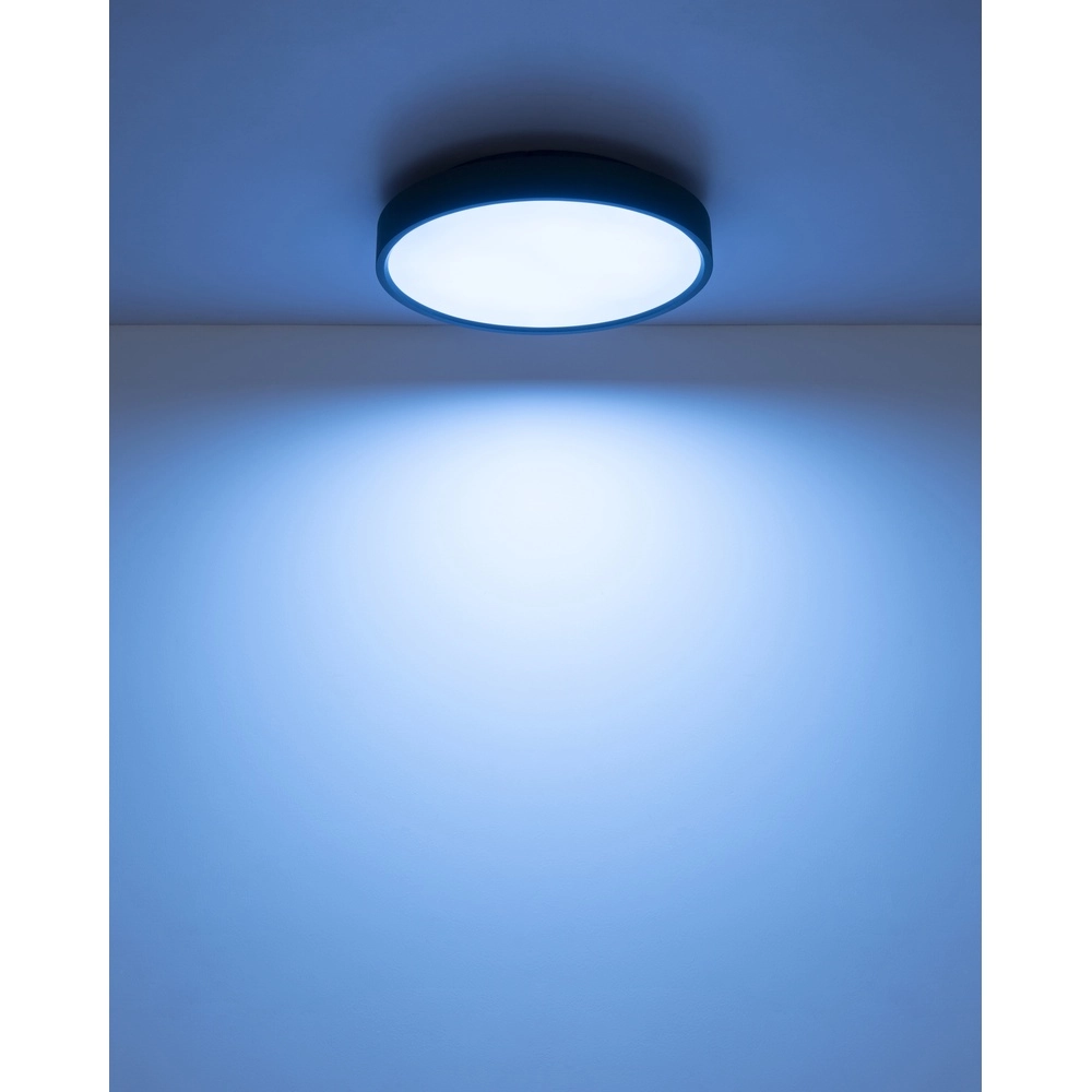 Ceiling light Jess Black Globo 9007371592470