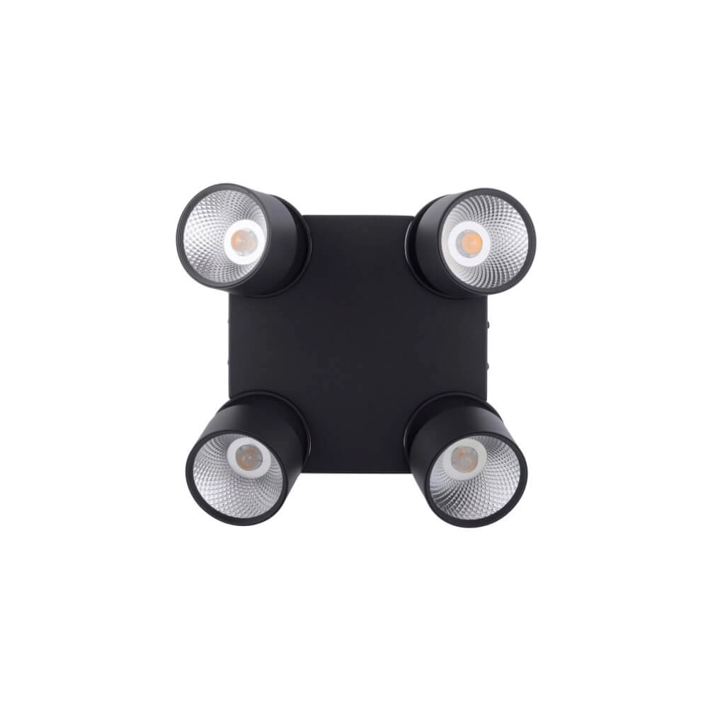 Ceiling lamp Pure Nola 4-light black Paul Neuhaus 4012248372012