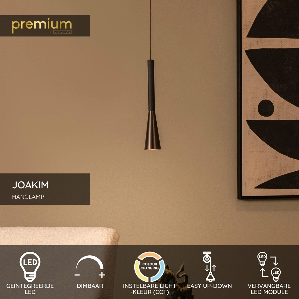 Design pendant lamp Joakim 1-light coffee brown Premium by Lucide 5411212242112