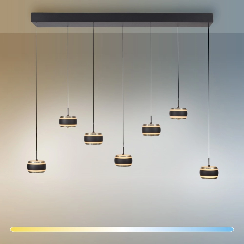 7L dining table pendant lamp Pure Falling Rings black pearl Paul Neuhaus 4012248396599