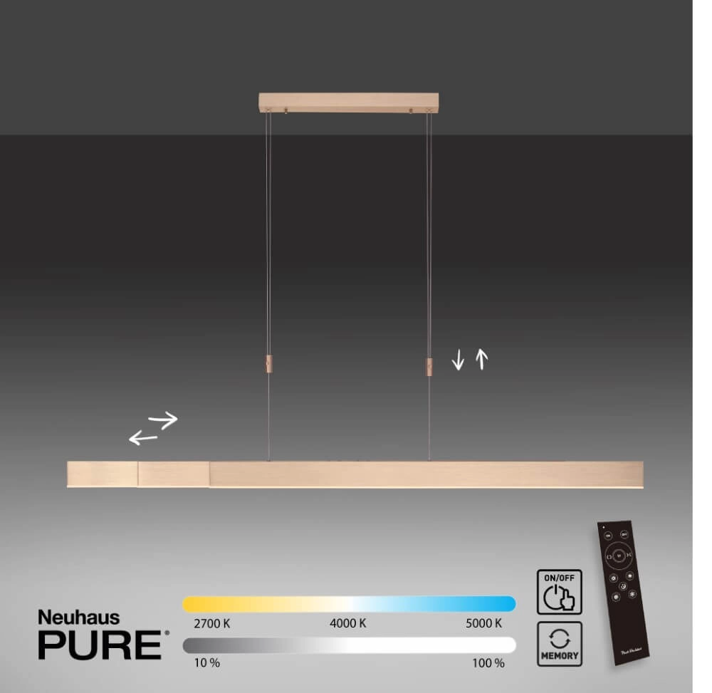LED hanging lamp Pure-Moto brass matt Paul Neuhaus 4012248363768