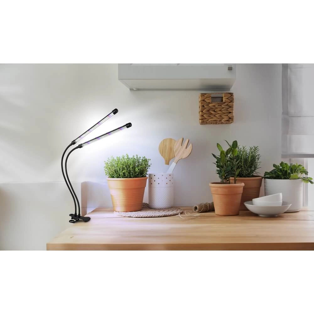 Clamp lamp Treena grow light for plants Globo 9007371447138