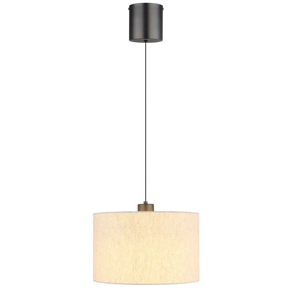 Gunmetal pendant lamp Thea Design Globo 9007371579020