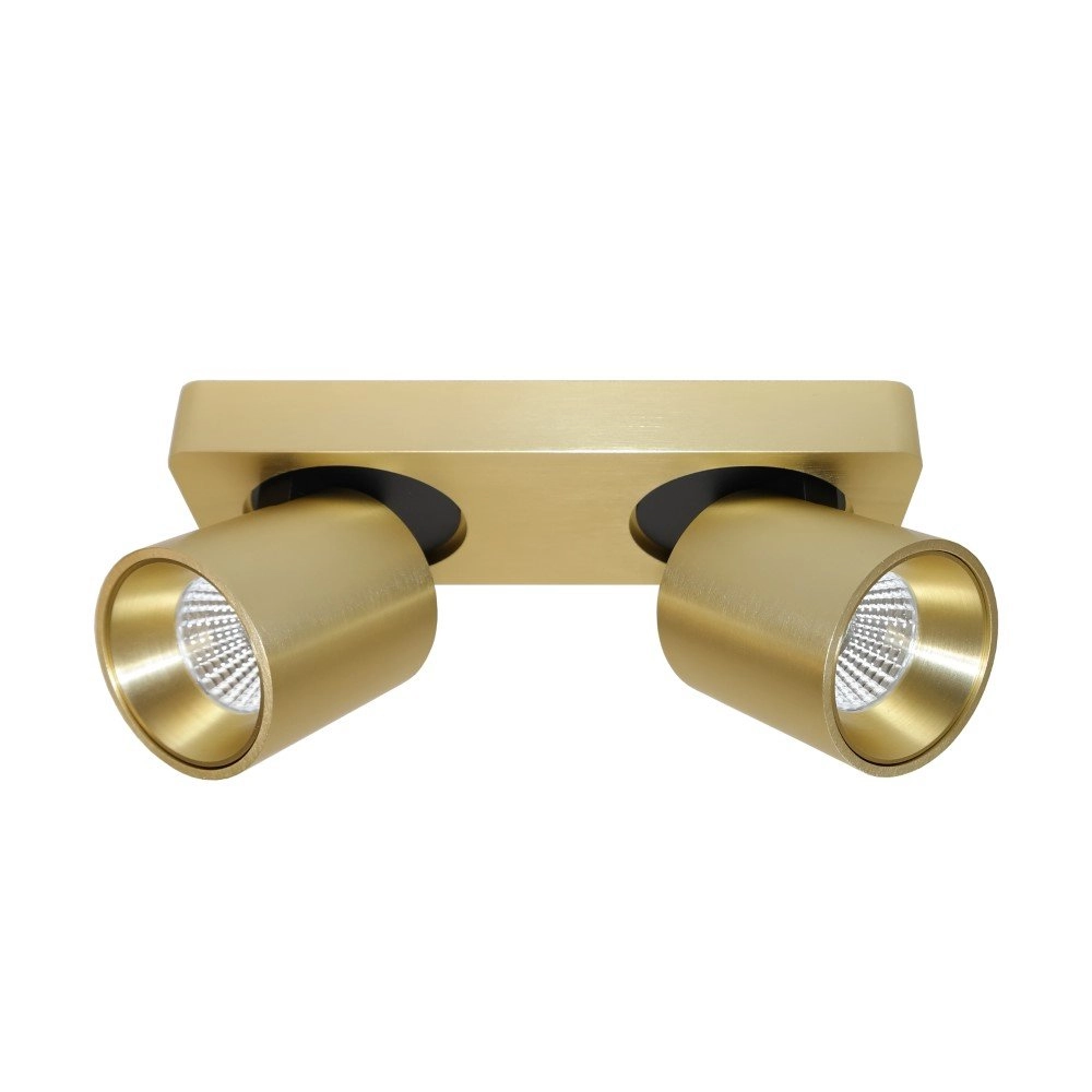LED surface mounted spot Laguna 2-light gold