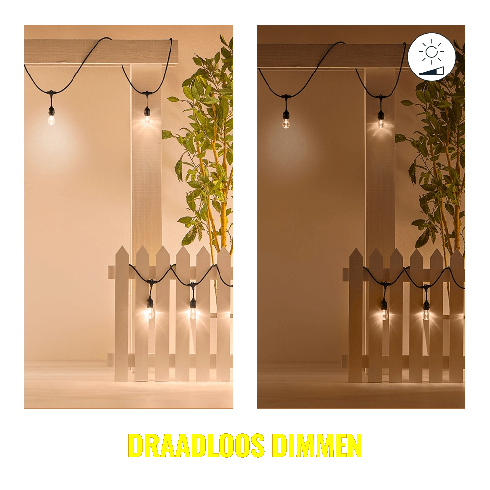 String Lights WiZ 8719514554450