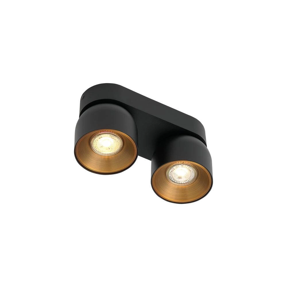 Black spot Pitcher 2-light directional