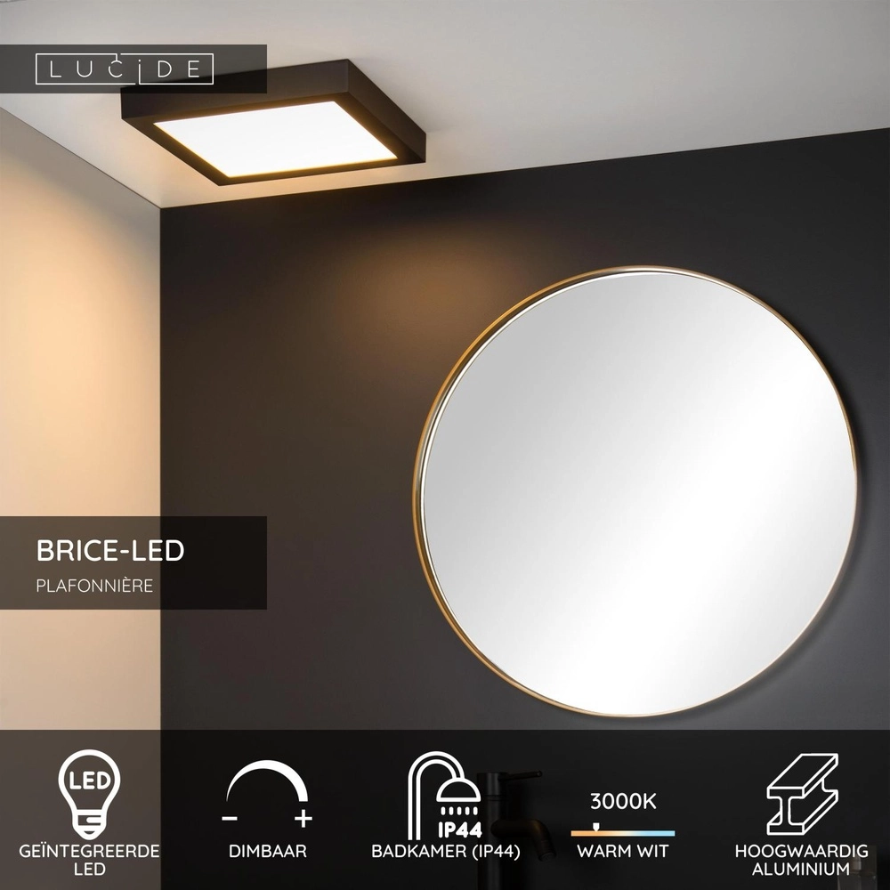 Ceiling light Brice-Led 30cm square IP44 black Lucide 5411212281272