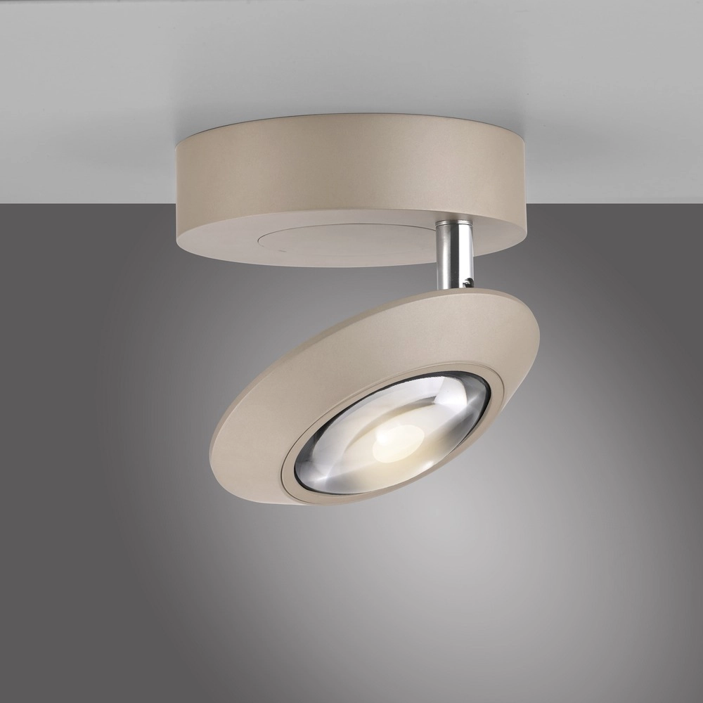 Led ceiling spot Pure Oculis Bronce Paul Neuhaus 4012248397077