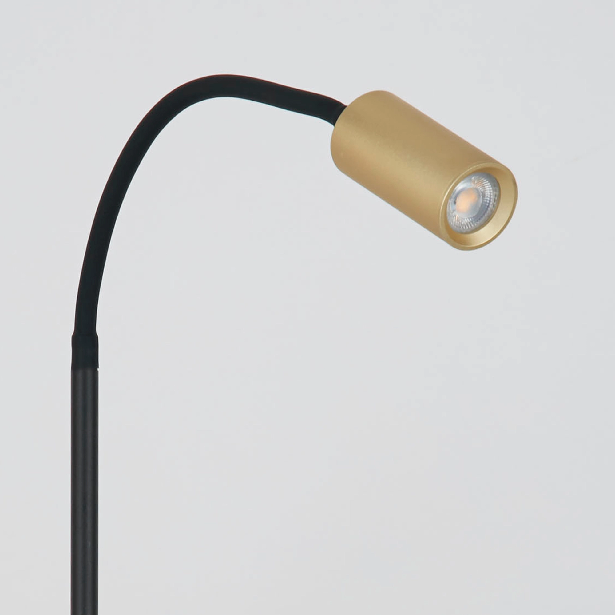 Table lamp Ciara Gold Lyora 5053423316437