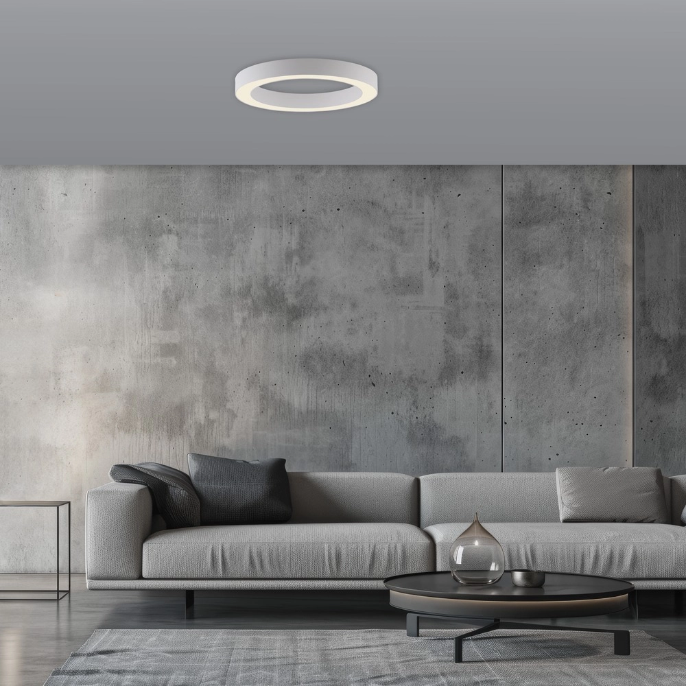 Sleek led ceiling lamp Pure Lines Round Ø 35cm - white Paul Neuhaus 4012248395226