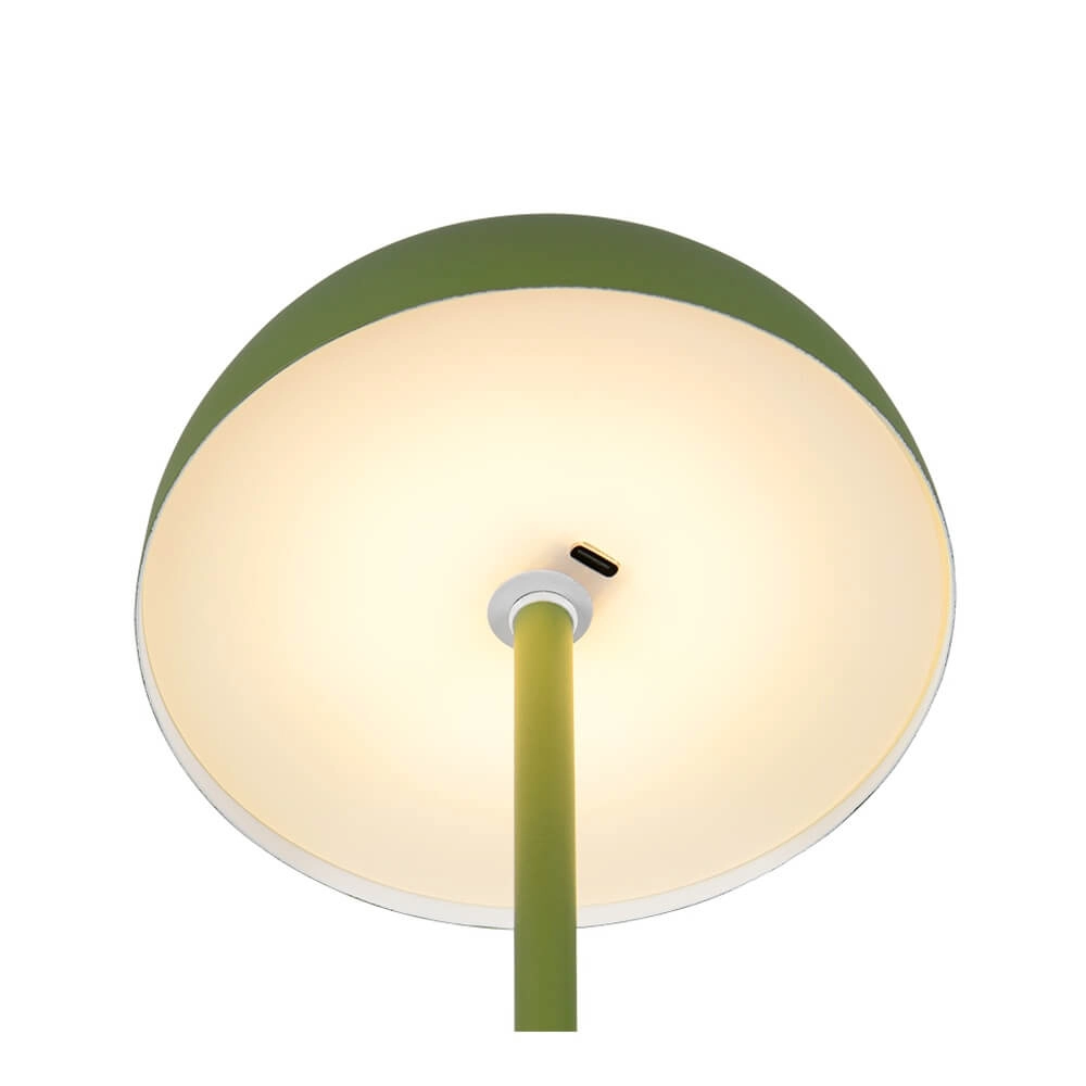 Table lamp Munoz green Ø 13cm Trio 4017807640861