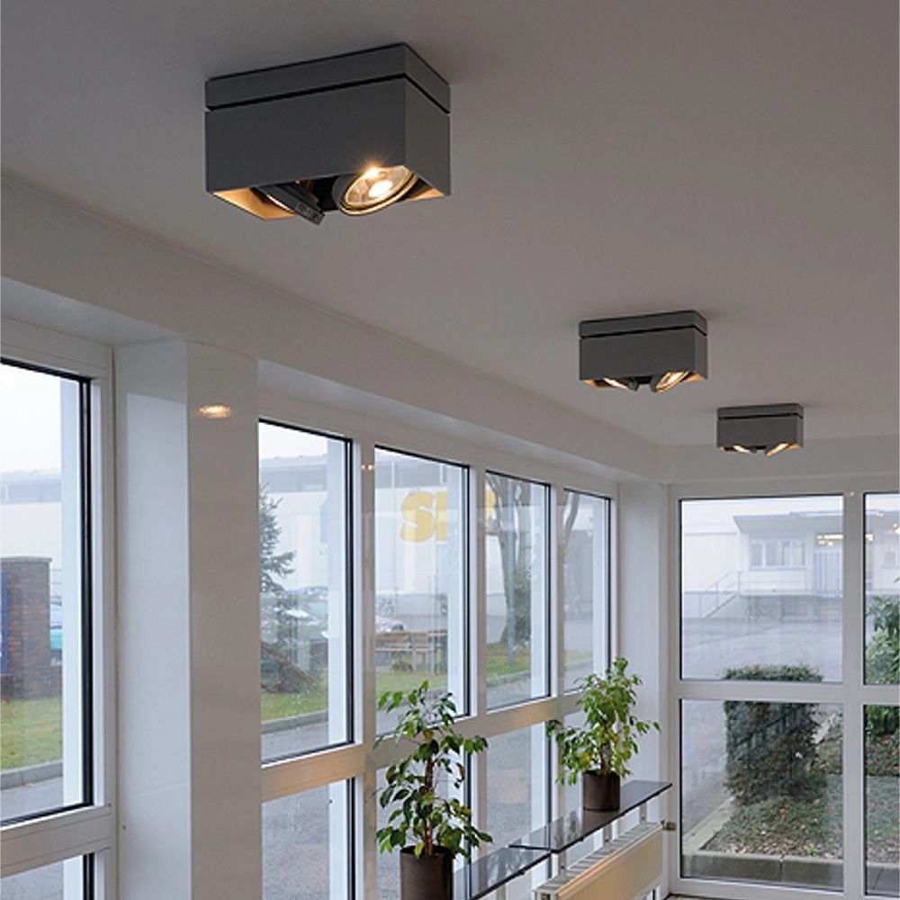 Ceiling spot Kardamod Surface Square ES111 2-light white SLV 4024163131698