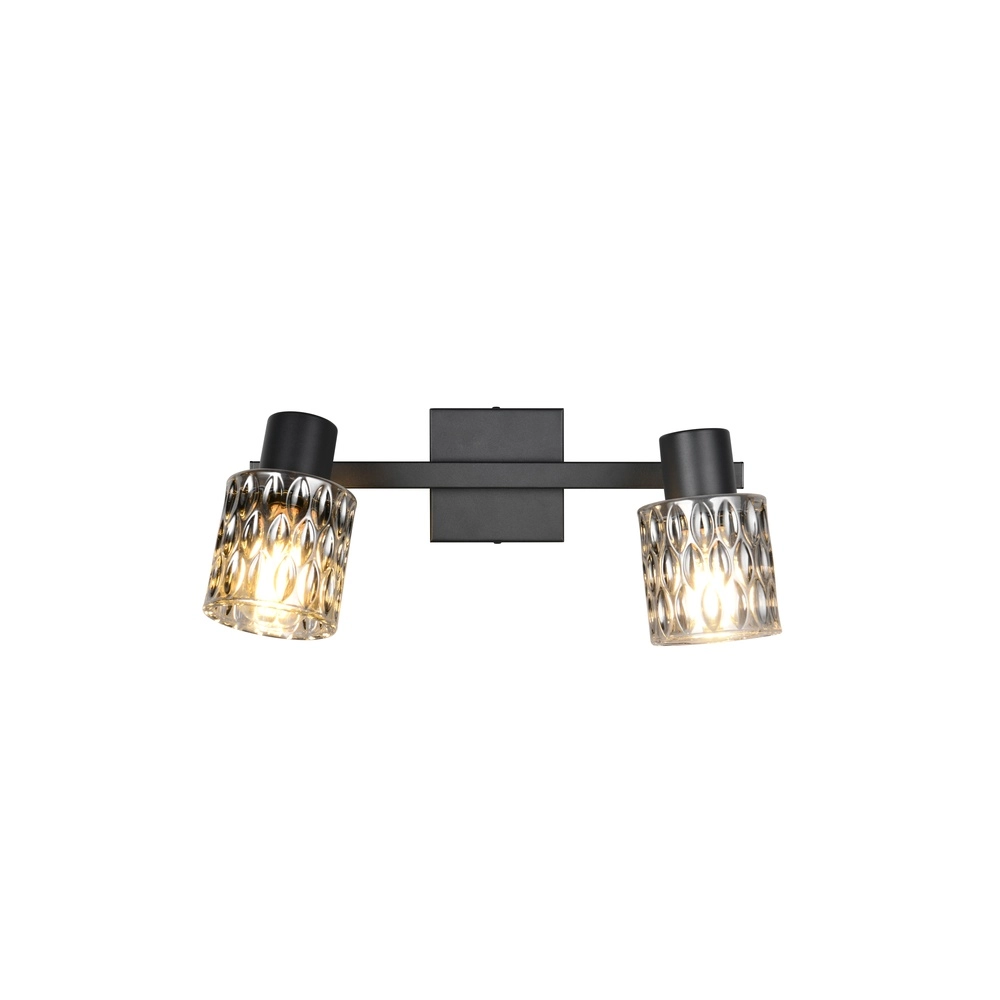 Ceiling lamp Jack black 2-lights Trio 4017807643862