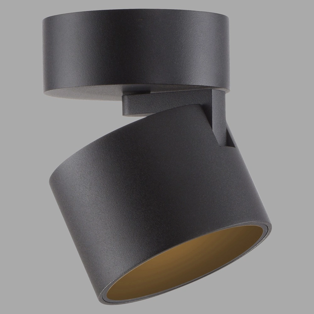 Sleek surface-mounted spot Pure Cup black pearl