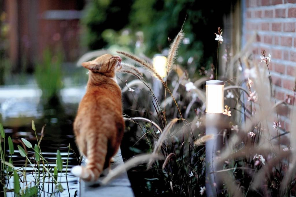 Garden lamp Liv 12 volt LED In-lite 8717051004445