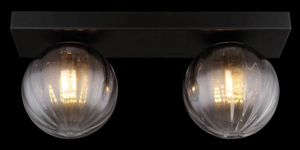 2-light ceiling lamp Dallerta smoke glass Globo 9007371449576