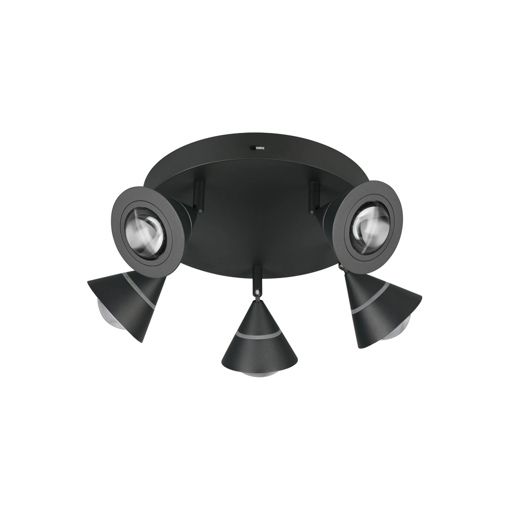 Ceiling lamp Romeo black Trio 4017807670417