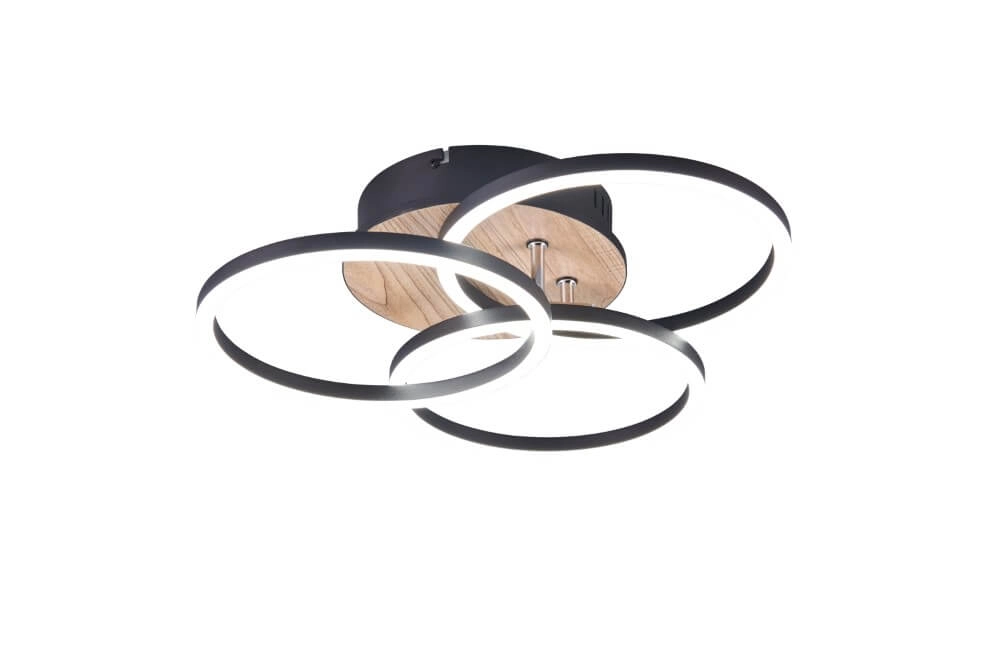Ceiling light Circle Ø 43.5cm Trio 4017807561234