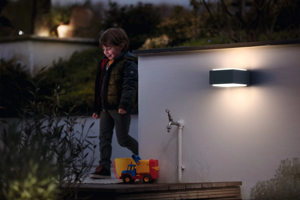 Outdoor light Hedgehog Philips 8718696157053