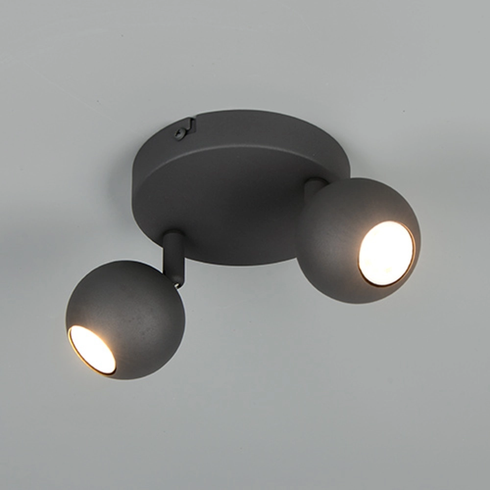 Surface-mounted spot Enaro 2-light anthracite