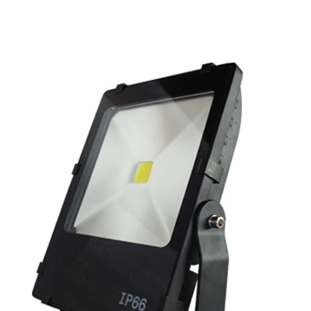 Led garden spotlight Floodlight Franssen 8717064119686