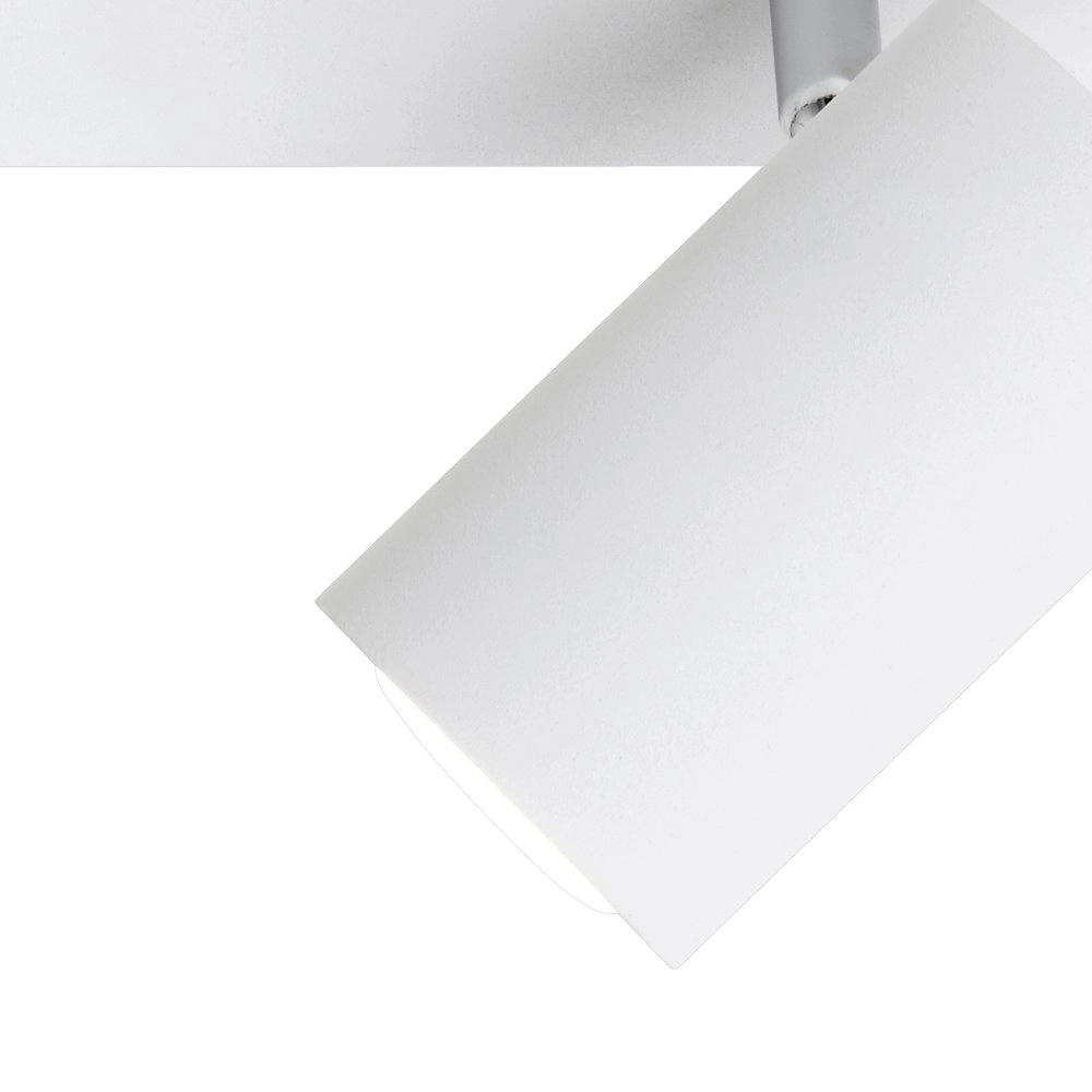 Ceiling spot Series 8024 2-light white Trio 4017807227550