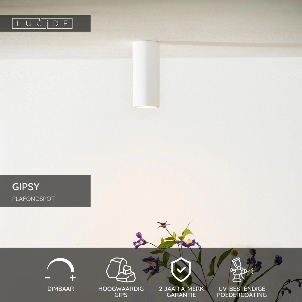 Ceiling spotlight Gipsy 17cm white Lucide 5411212351456