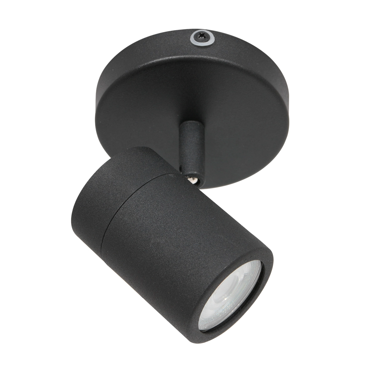 Bathroom spot Upround LED black Steinhauer 8712746133479