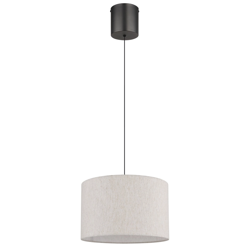 Gunmetal pendant lamp Thea Design Globo 9007371579020