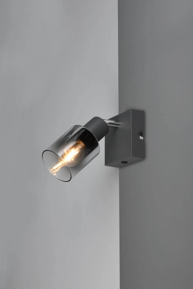 Black wall light Cadiz with smoke glass Trio 4017807615753