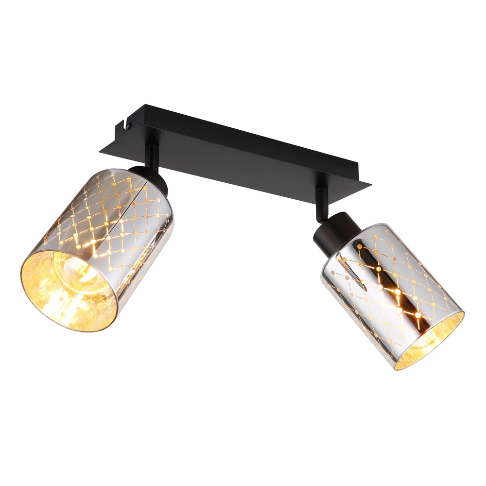 Design ceiling lamp Alonso 2-light black